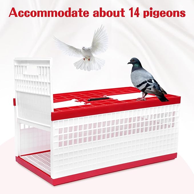 Racing Pigeon Carrier Box - Image 3