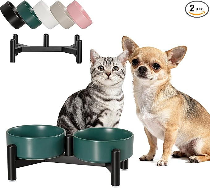 Raised Ceramic Dog Bowl Set by PTOBER