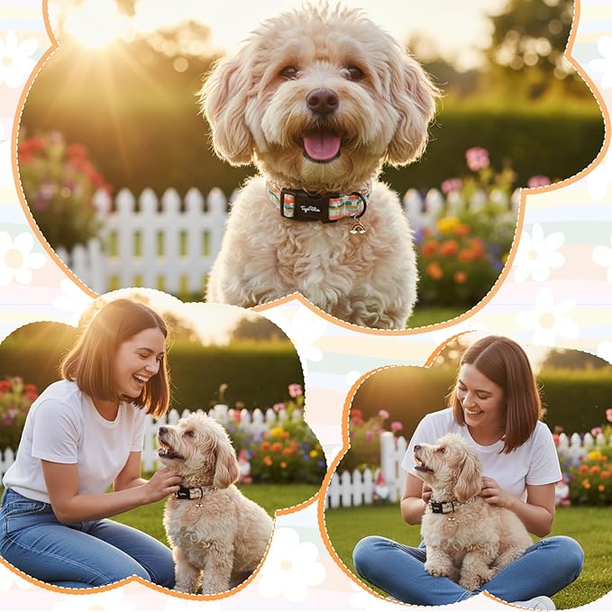 Dog Collar with Rainbows & Flowers Patterns, Spring Summer Collection Dog - Image 5