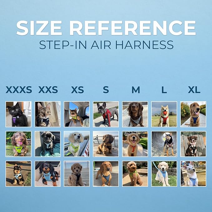 Best Pet Supplies Voyager Step-in Air Harness - Image 7