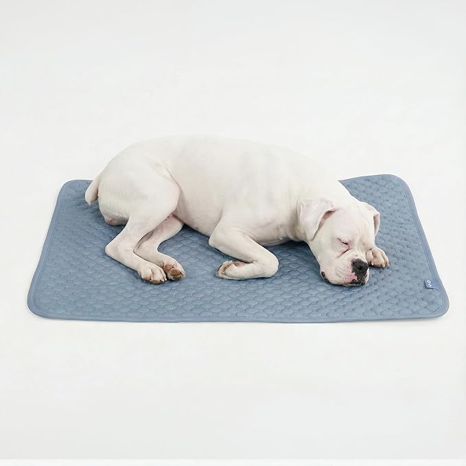 Spark Paws Cooling Mat for Dogs by SparkPaws