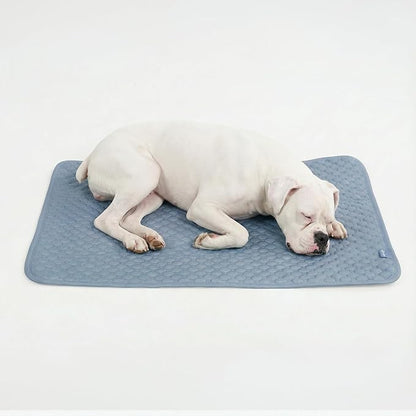 Spark Paws Cooling Mat for Dogs by SparkPaws