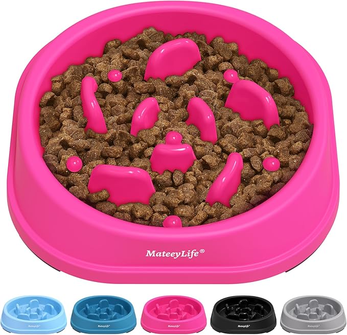 MateeyLife Small Slow Feeder Cat Bowls, Anti-Choking Puzzle Cat Food Bowls by MateeyLife