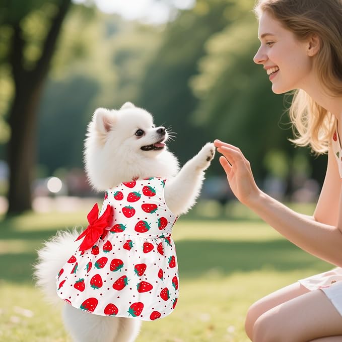 choyaxo Floral Dog Dress Cute Dog Skirt Pet Dress Summer Pet Clothes - Image 5