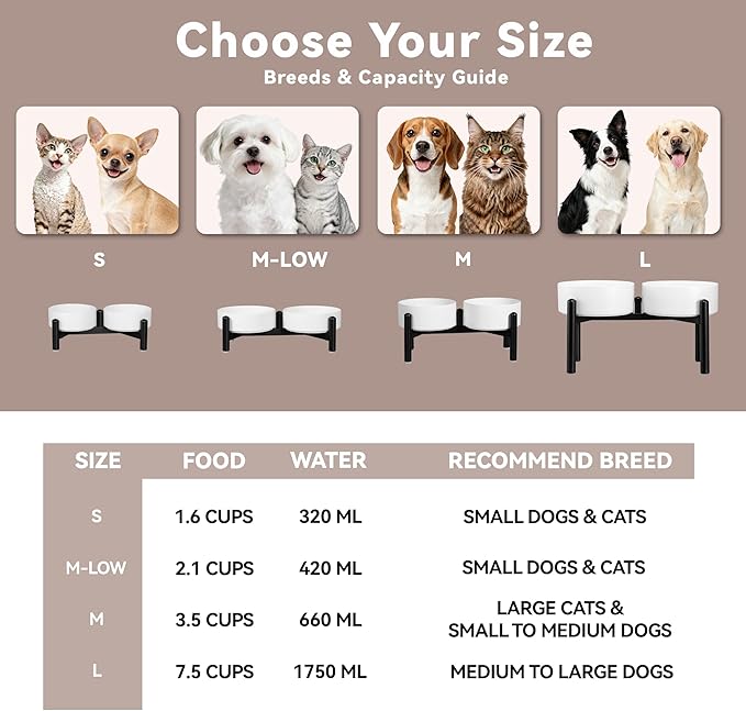 Dog Bowls Elevated - Image 8