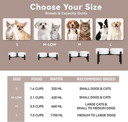 Dog Bowls Elevated - Image 8