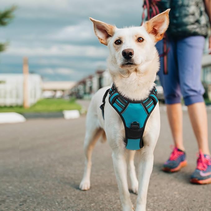 rabbitgoo Dog Harness No Pull - Image 8