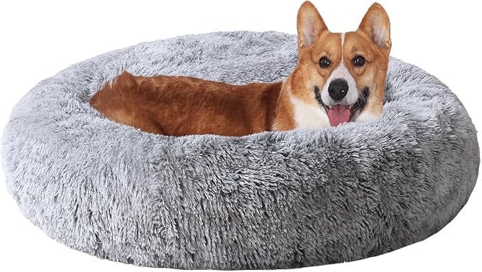 JOLLYVOGUE Dog & Cat Bed, Calming Anti-Anxiety Pet Bed by JOLLYVOGUE