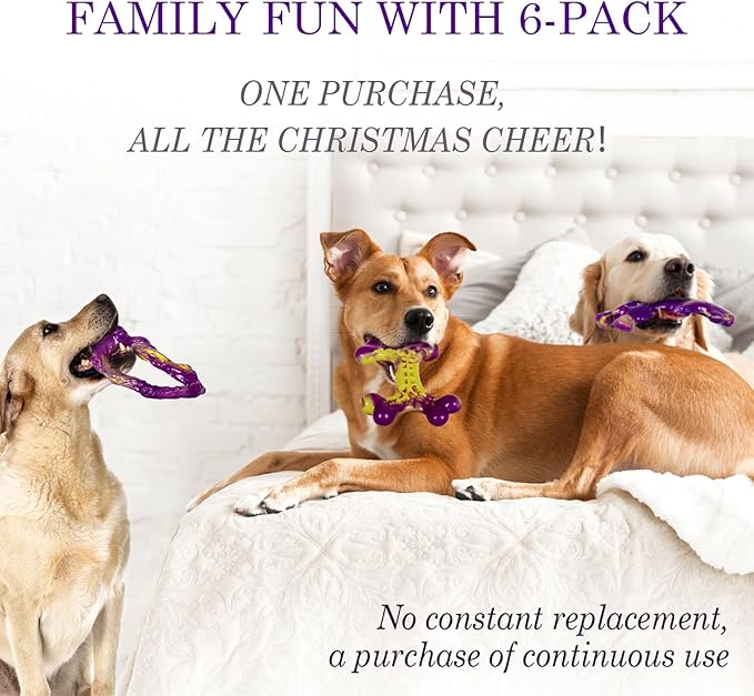 Frienhund 6-Pack Dog Toys for Aggressive Chewers: Dog Toy for Aggressive Chewer - Image 3