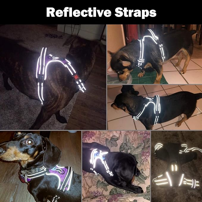 PHOEPET No Pull Dog Harness Medium Reflective Front Clip Vest - Image 5