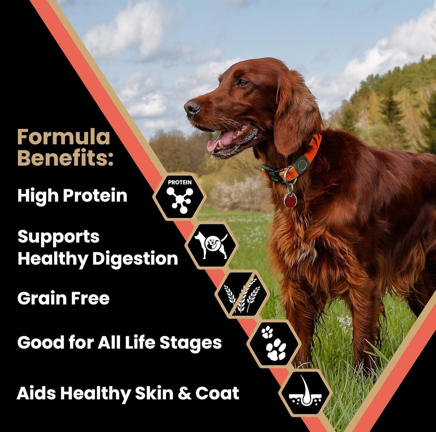 VICTOR Super Premium Dog Food – Grain Free Yukon River Canine – Supports Immune & Digestive Health for Dogs of All Life Stages – High Protein Dry Dog Food for All Normally Active Dogs, 15 lb