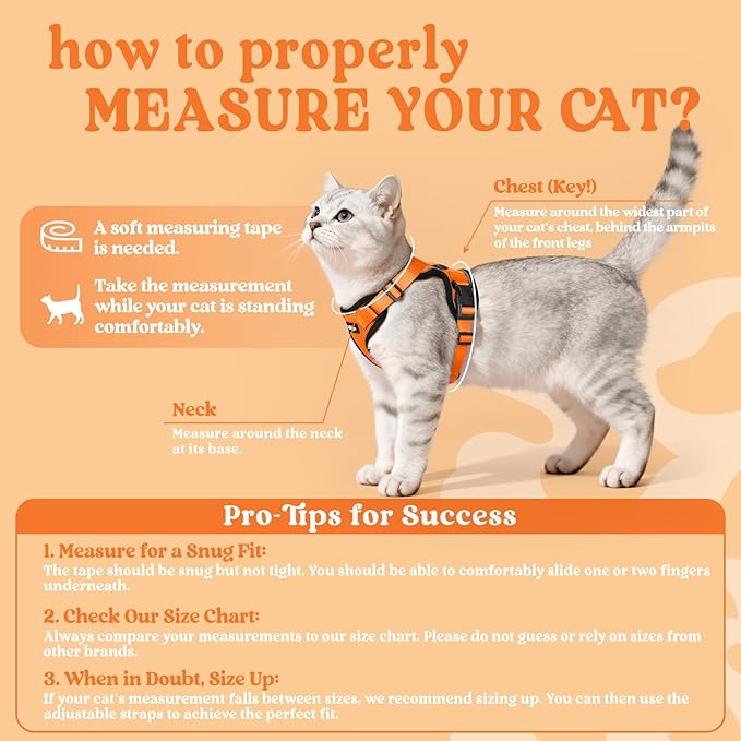 rabbitgoo Cat Harness and Leash Set, Escape Proof Vest Harness - Image 2