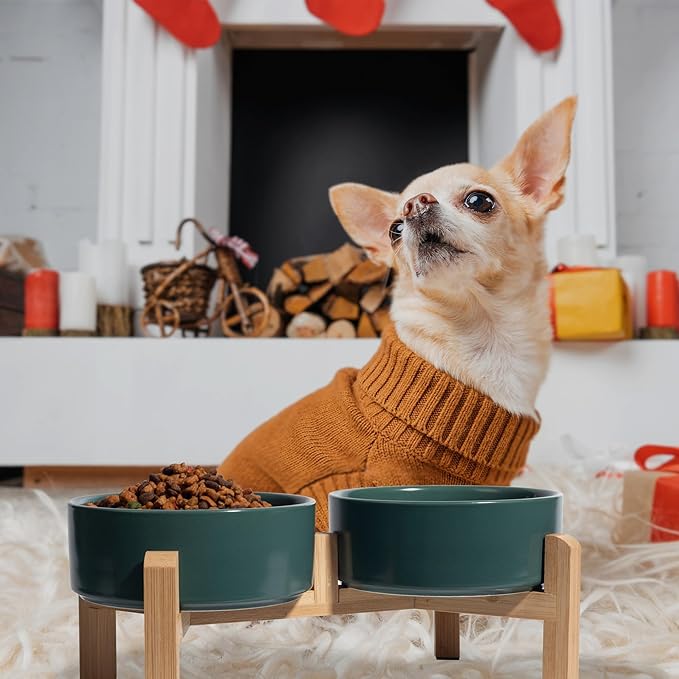 Elevated Ceramic Dog Bowl Set - Image 6