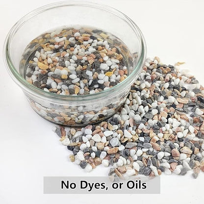 YISZM 5LBS Succulent and Cactus Gravel Pebbles, 1/5 Inch Natural Decorative - Image 3