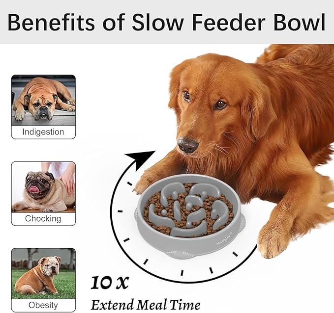 MateeyLife Large Slow Feeder Dog Bowls, Anti-Choking Puzzle Dog Food Bowls - Image 2