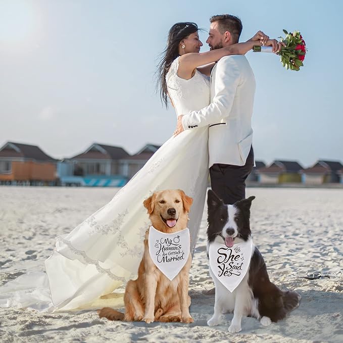 Engagement Gift, My Humans are Getting Married Dog Bandana, Wedding Photo Prop - Image 4