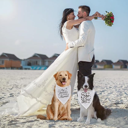 Engagement Gift, My Humans are Getting Married Dog Bandana, Wedding Photo Prop - Image 4