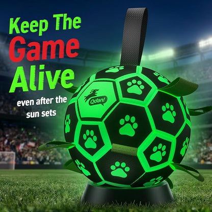 QDAN Glow in The Dark Dog Toys Soccer Ball - Image 4