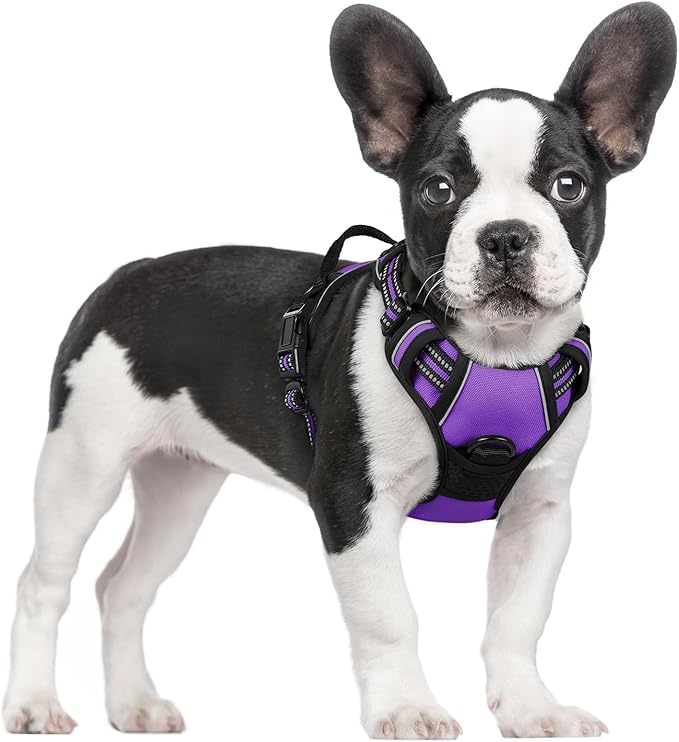 rabbitgoo Dog Harness No Pull by rabbitgoo