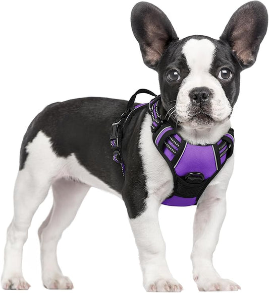 rabbitgoo Dog Harness No Pull by rabbitgoo