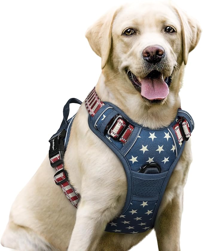 rabbitgoo Dog Harness No Pull by rabbitgoo