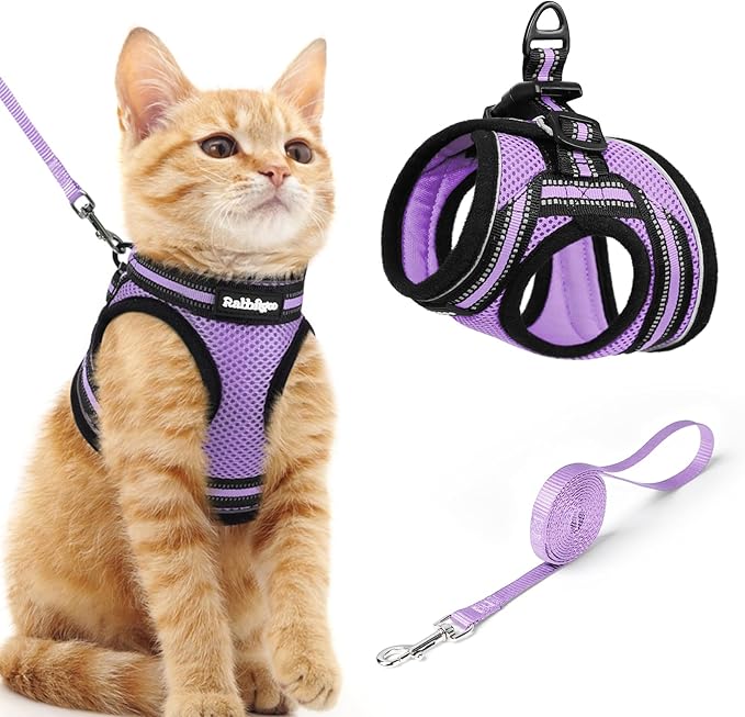 rabbitgoo Cat Harness and Leash, Step-in Escape Proof Kitten Harness Set by rabbitgoo