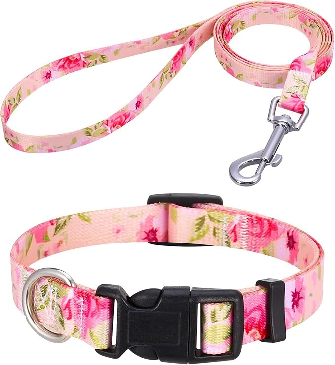 Mihqy Dog Collar and Leash Set by Mihqy