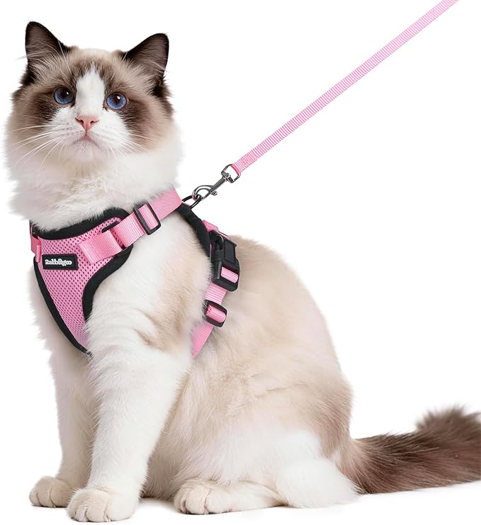 rabbitgoo Cat Harness and Leash Set, Escape Proof Vest Harness by rabbitgoo