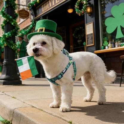 PUPTECK No Pull St. Patrick Dog Harness Soft Adjustable Basic Nylon Step in - Image 5