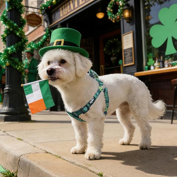 PUPTECK No Pull St. Patrick Dog Harness Soft Adjustable Basic Nylon Step in - Image 5