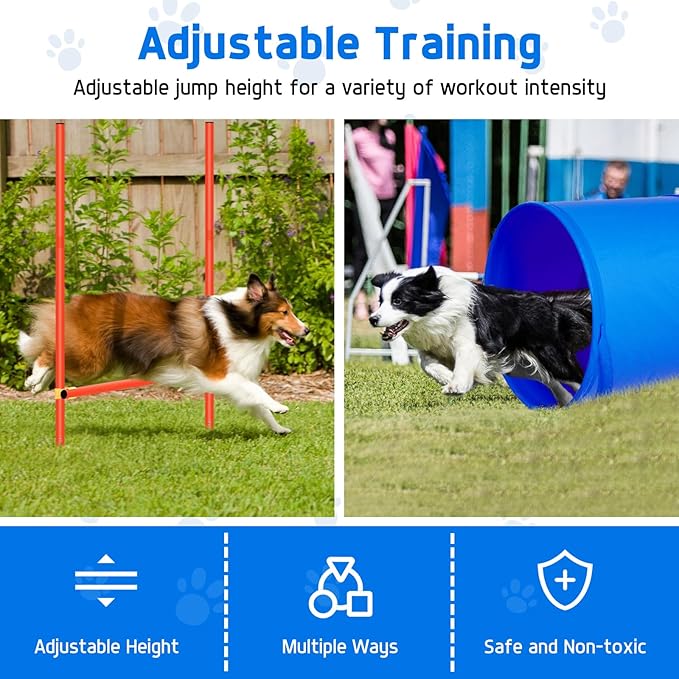 Polar Aurora Dog Agility Equipment, Dog Obstacle Courses Backyard - Image 6