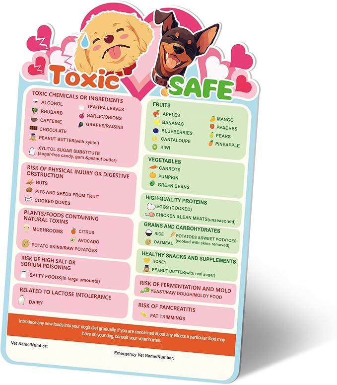 Magnetic List of Toxic & Safe Foods, 9.8x6.7in Feeding Chart Fridge Decorative by lasuroa