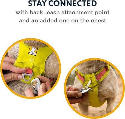 Ruffwear, Hi & Light, Everyday Lightweight Dog Harness, Trail Running, All-Day - Image 5