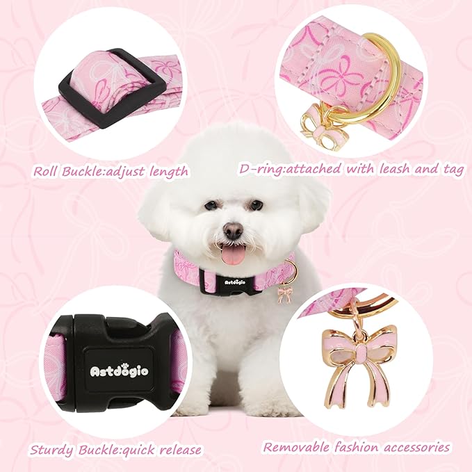 Medium Dog Collar, Girl Boy Dog Collars - Image 2