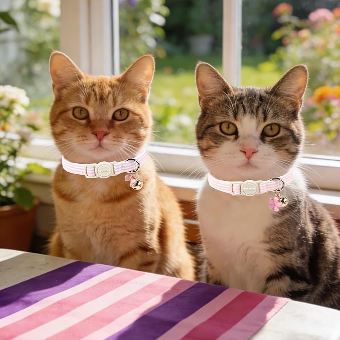 2 Pack Pink Purple Cat Collars Breakaway - Image 5
