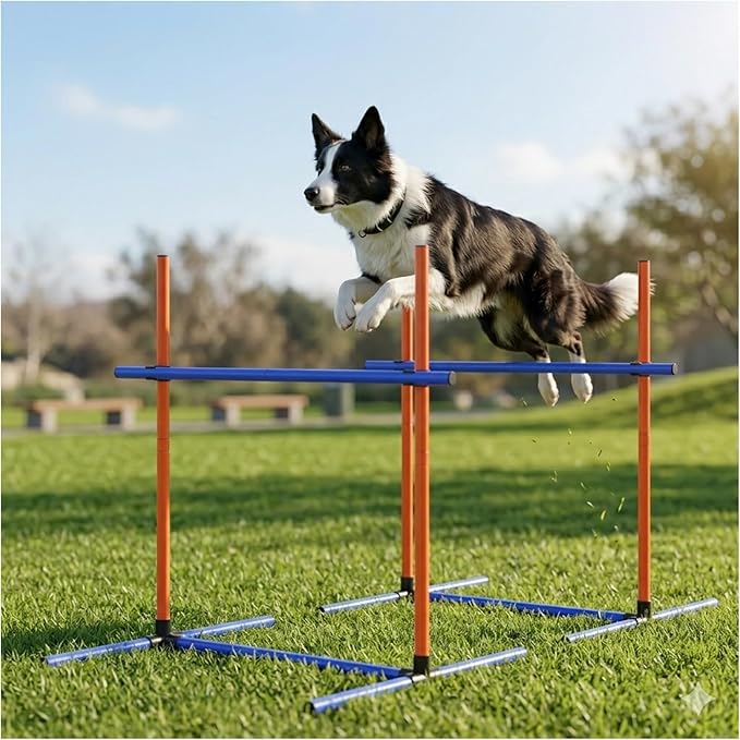 Dog Agility Equipment by Uzpomel