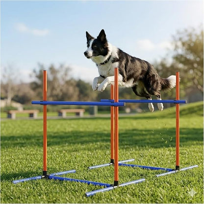 Dog Agility Equipment by Uzpomel