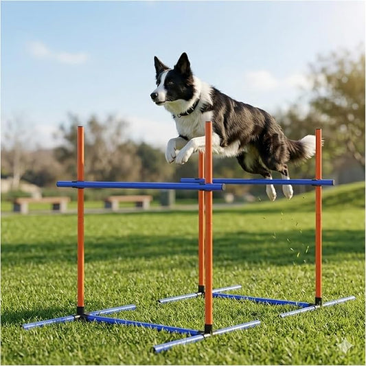 Dog Agility Equipment by Uzpomel