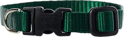 LupinePet Basics 1/2" Green 6-9" Adjustable Collar by LupinePet