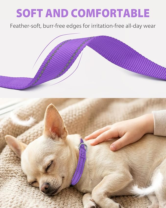 Joytale Puppy Collar, Feather-Light Double-Sided Reflective Nylon Collar - Image 3