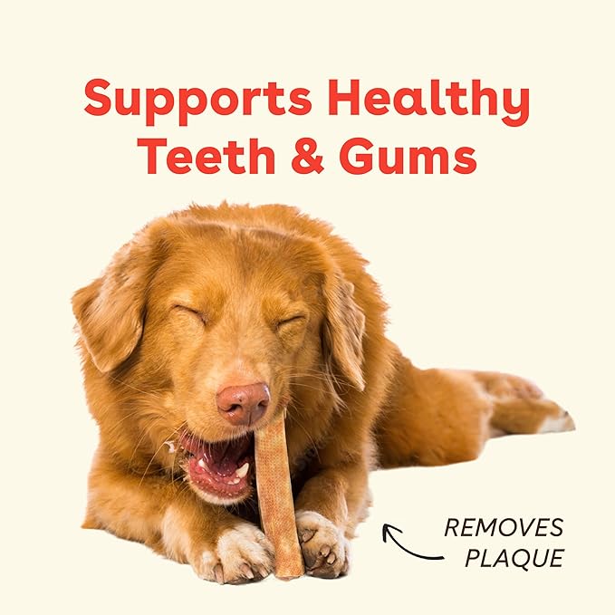 Pupford Yak Cheese Chews for Dogs & Teething Puppies, Long-Lasting Himalayan - Image 3