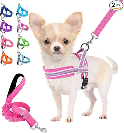 Lukovee No Pull Dog Harness and Leash Set, Soft Padded Small Dog Harness by Lukovee