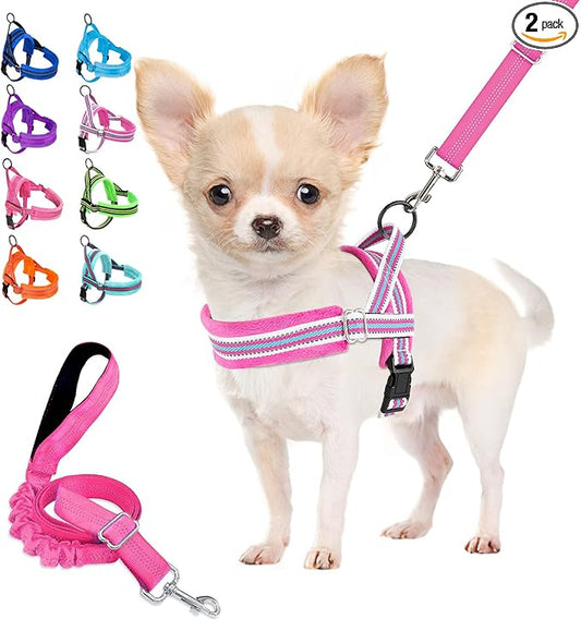 Lukovee No Pull Dog Harness and Leash Set, Soft Padded Small Dog Harness by Lukovee