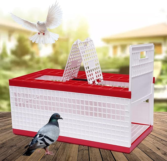 Racing Pigeon Carrier Box by Unknown