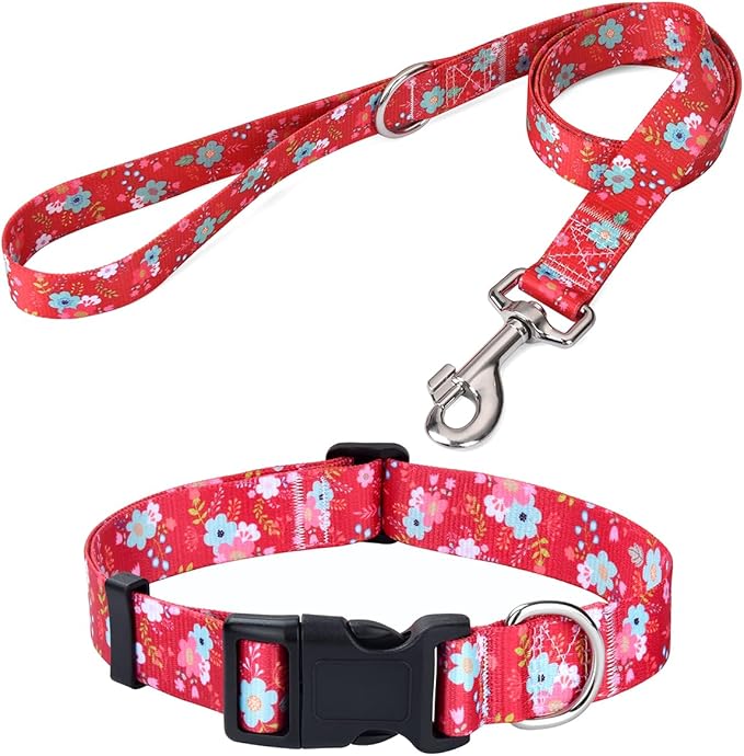 Mihqy Dog Collar and Leash Set by Mihqy