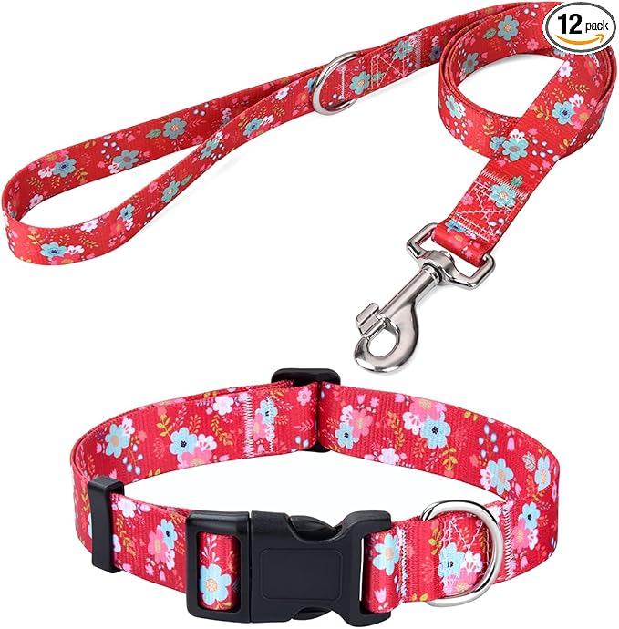 Mihqy Dog Collar and Leash Set by Mihqy