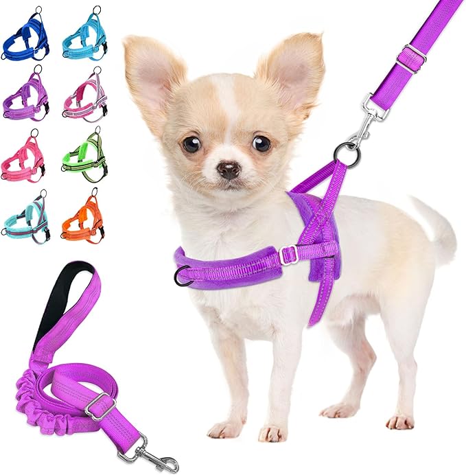 Lukovee No Pull Dog Harness and Leash Set, Soft Padded Small Dog Harness by Lukovee