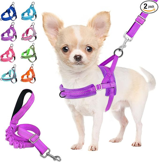 Lukovee No Pull Dog Harness and Leash Set, Soft Padded Small Dog Harness by Lukovee