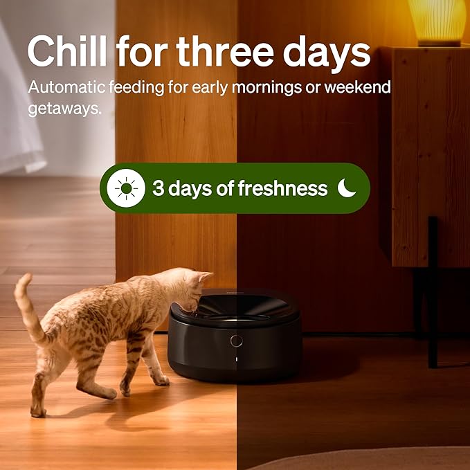 PETLIBRO Automatic Wet Food Cat Feeder 2026 New Version - Image 2