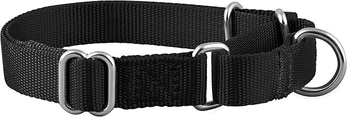 Native Pup Martingale Dog Collar, Adjustable - Image 2